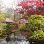 オランダ　日本庭園
